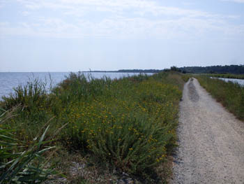 raid-canal (414).jpg